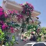 Selenya 3*