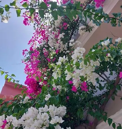 Selenya 아파트호텔