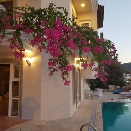 아파트호텔 Selenya 말마리스