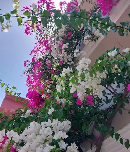 Selenya Aparthotel